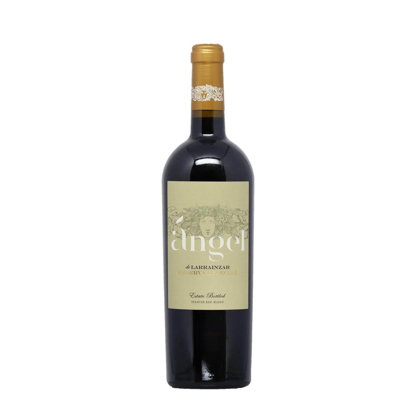 Angel Reserva Especial 2014 Pago de Larrainzar Rotwein - Spanien - Wein